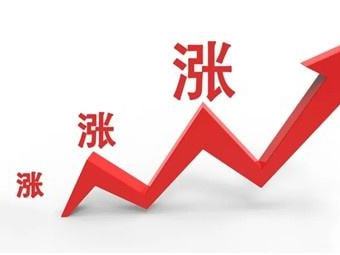 花生價(jià)格普遍上漲，漲幅在100-200每噸
